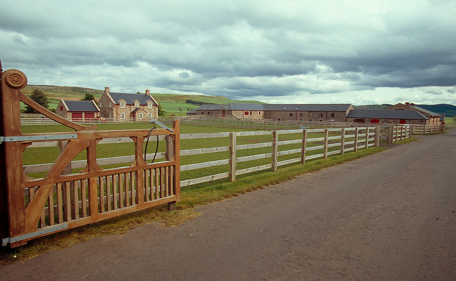 racing-yard2-3.jpg